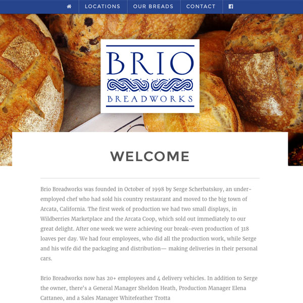 Brio Arcata web design