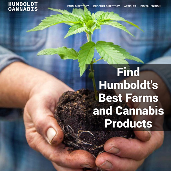 Humboldt Cannabis Web Design